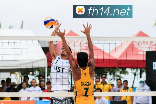 奖项证书